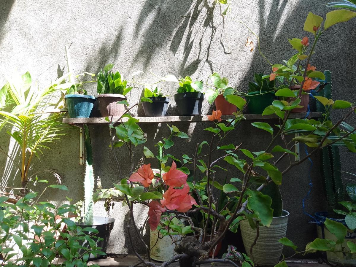 Mangga Homestay Gili Air Buitenkant foto