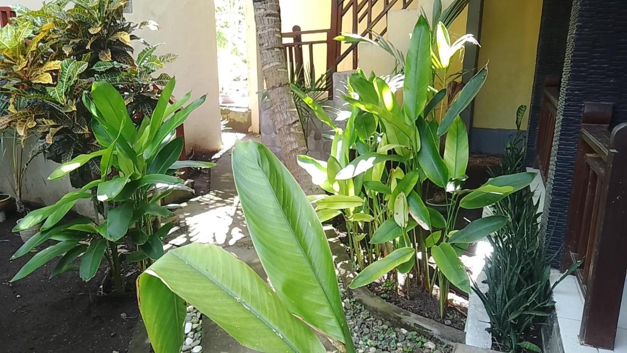 Mangga Homestay Gili Air Buitenkant foto