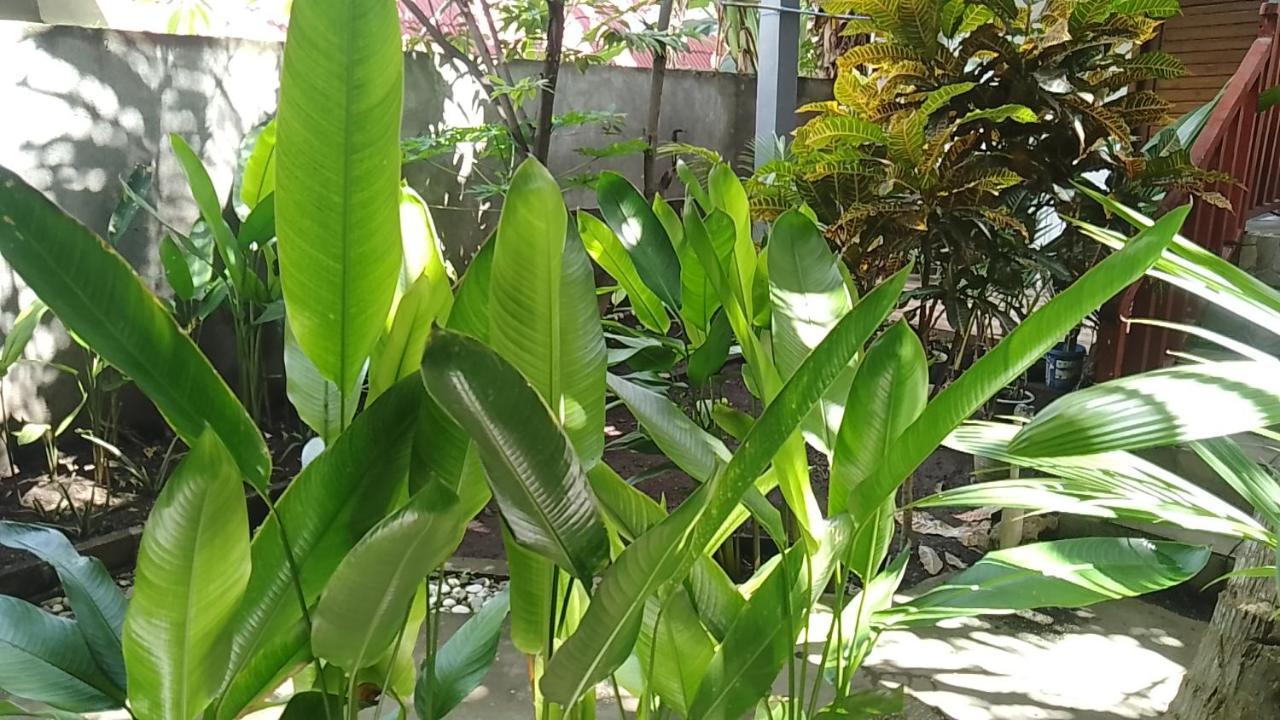 Mangga Homestay Gili Air Buitenkant foto