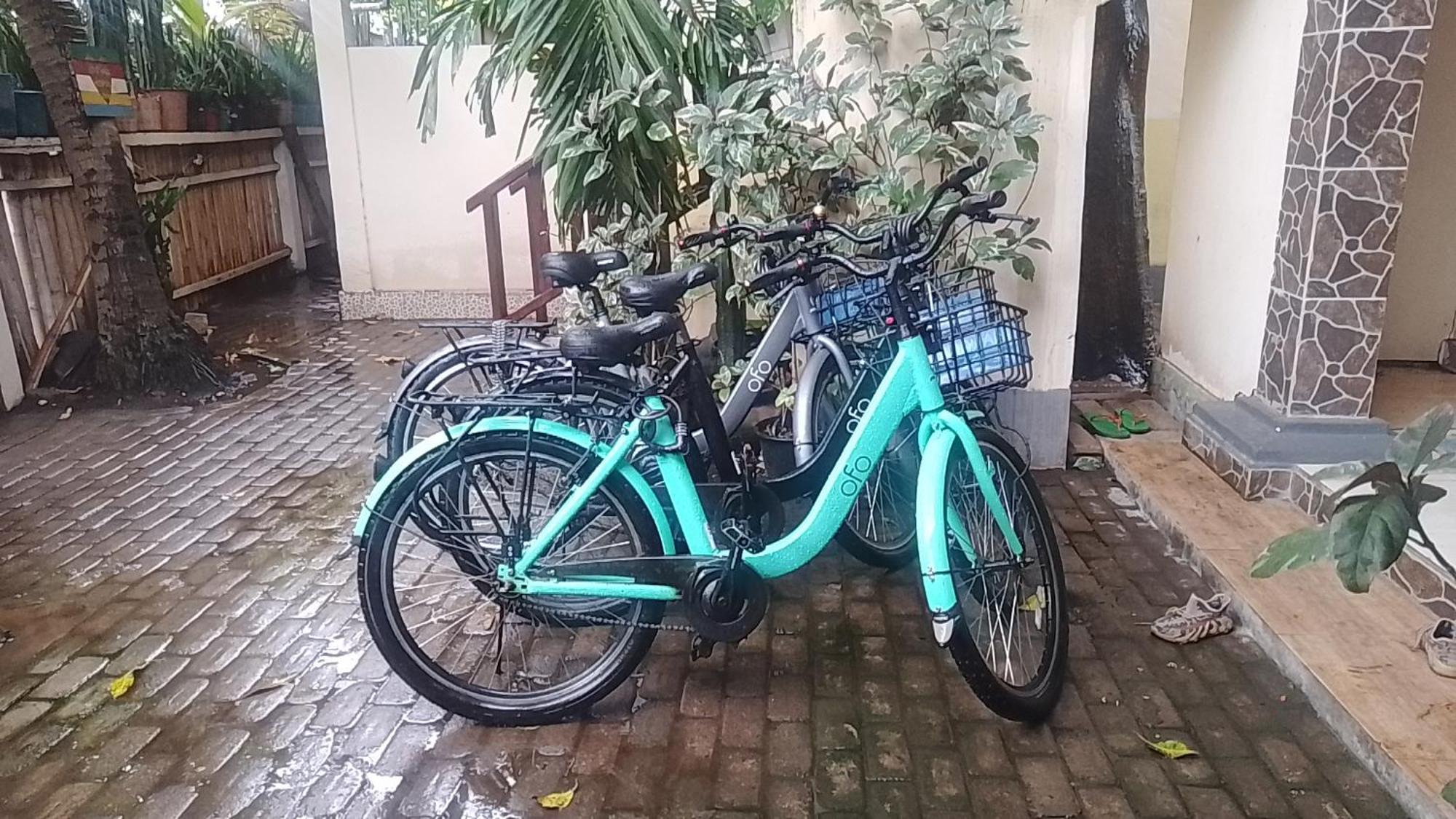 Mangga Homestay Gili Air Buitenkant foto