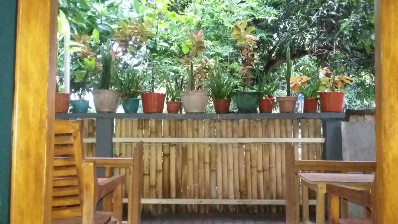 Mangga Homestay Gili Air Buitenkant foto